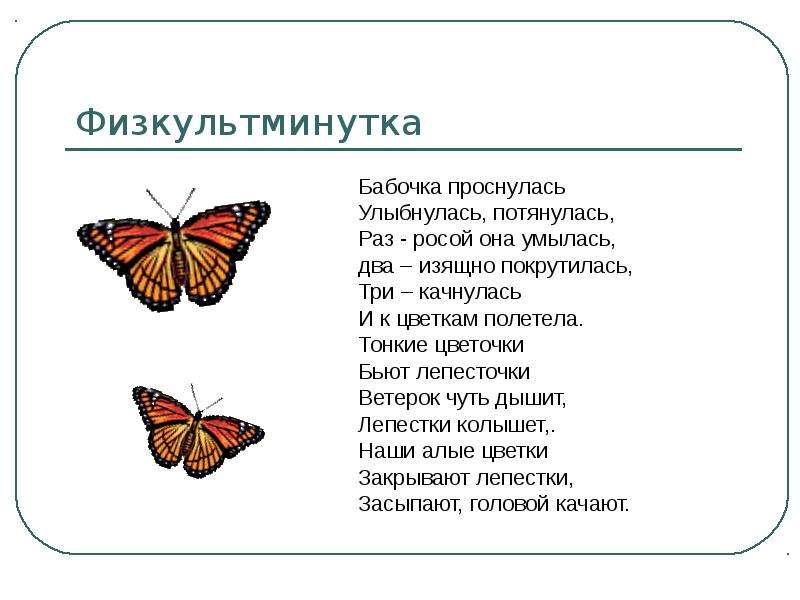 Физкультминутка Бабочка