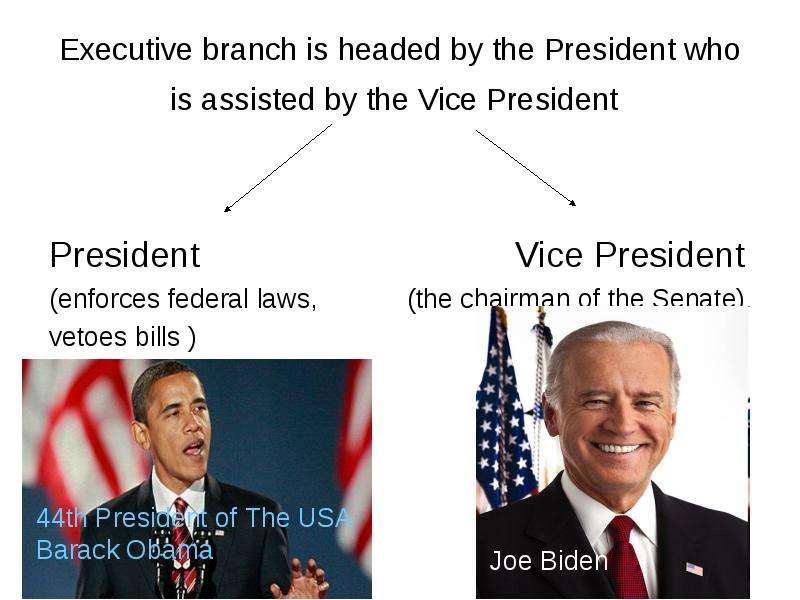 Executive branch is headed by