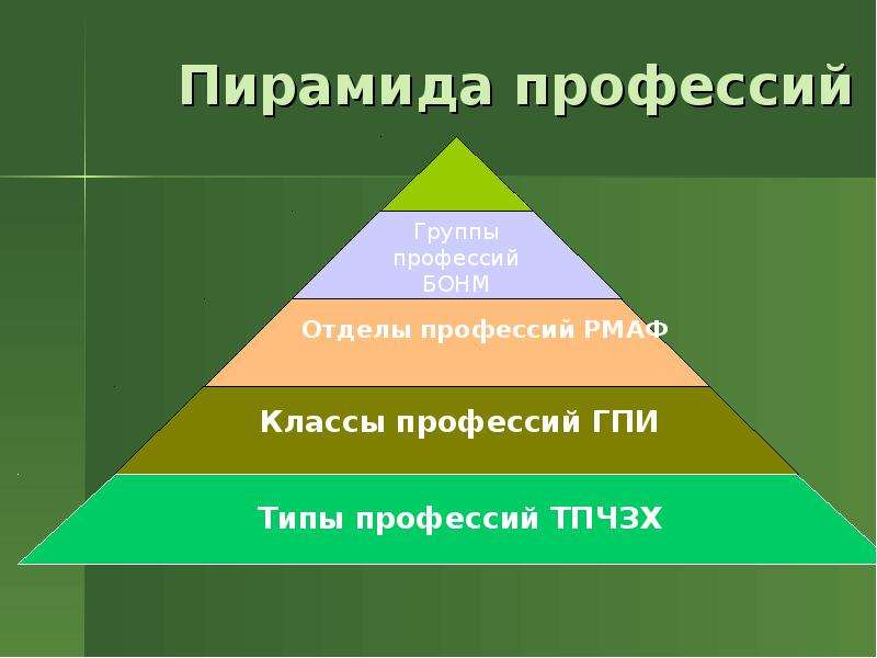 Пирамида профессий