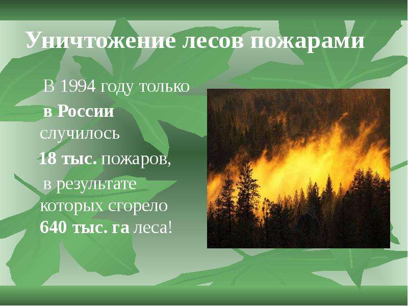 Уничтожение лесов пожарами В