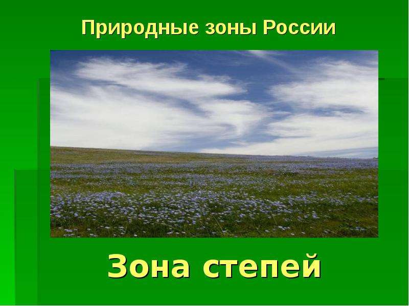 Презентация По географии Зона степей Природные зоны России