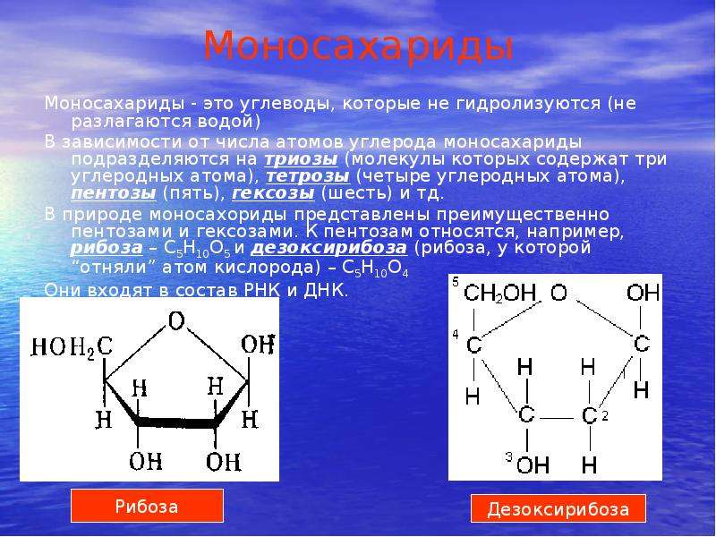Моносахариды Моносахариды -