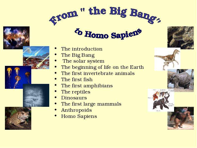 Презентация The introduction The Big Bang The solar system The beginning of life on the Earth The first invertebrate animals The first fish The first amphibians The reptiles Dinosaurs The first large mammals Anthropoids