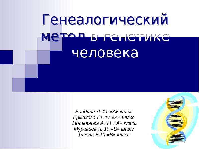 Презентация Генеалогический метод в генетике человека Бондина Л. 11 «А» класс Ермакова Ю. 11 «А» класс Селиванова А. 11 «А» класс Муравьев Я. 10