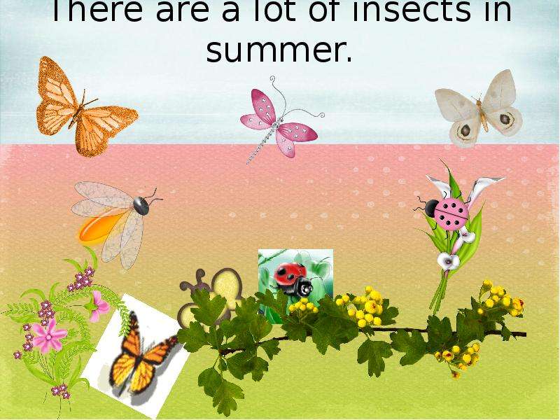 There are a lot of insects in