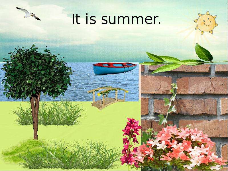 It is summer.