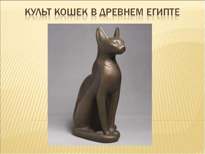 Презентация На тему "Культ кошек в древнем Египте" - презентации по Истории скачать