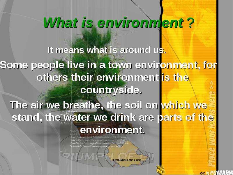 What is environment ? It