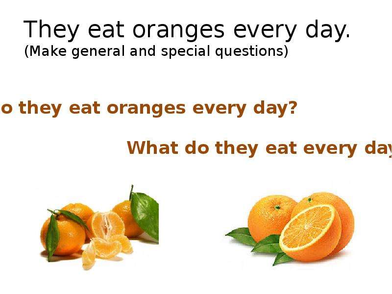 They eat oranges every day.