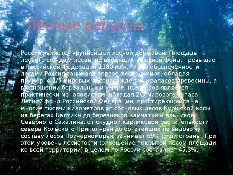 Лесные ресурсы Россия