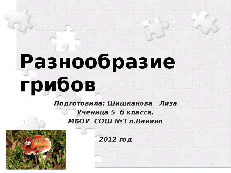 Презентация Разнообразие грибов Подготовила: Шишканова Лиза Ученица 5 б класса. МБОУ СОШ 3 п. Ванино 2012 год