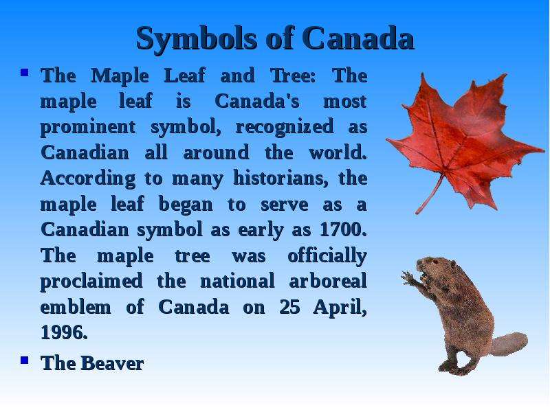 Symbols of Canada The Maple