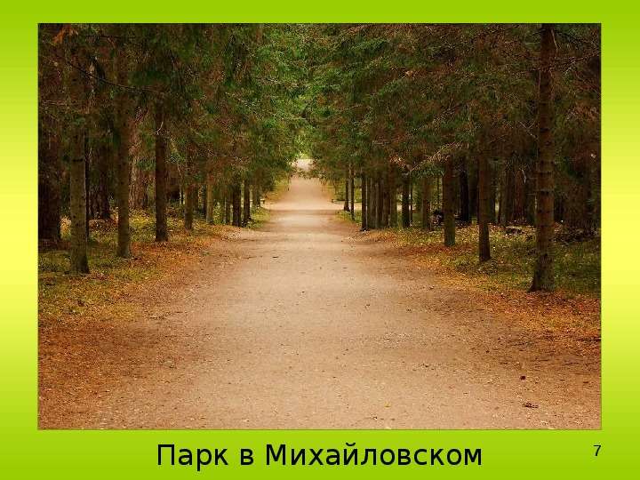 Парк в Михайловском