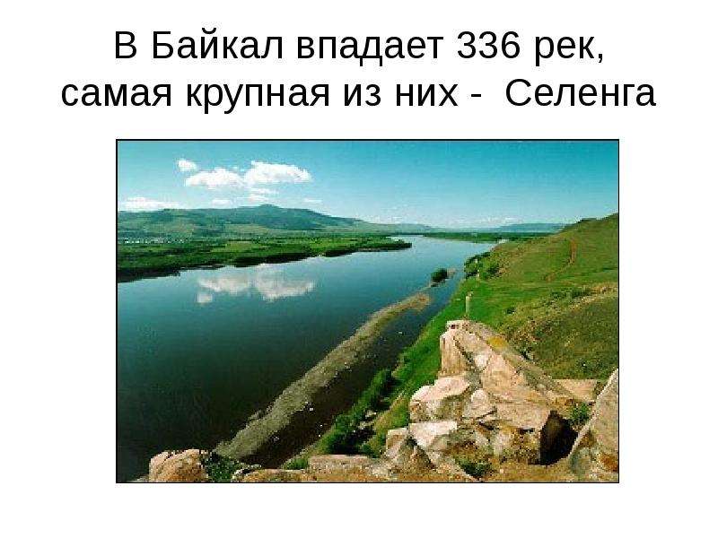 В Байкал впадает рек, самая
