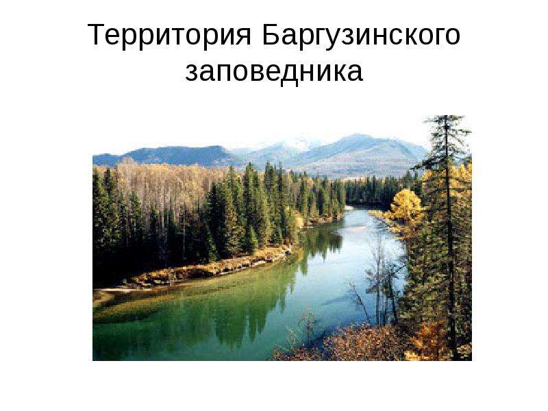 Территория Баргузинского