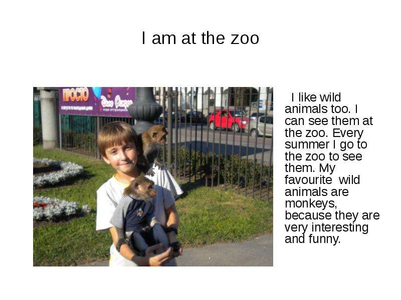 I am at the zoo I like wild