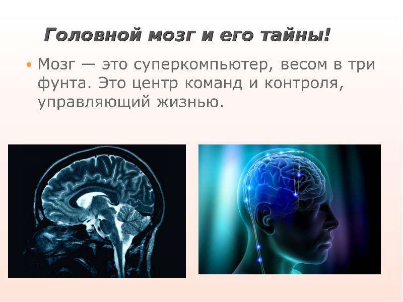 Презентация Головной мозг и его тайны!