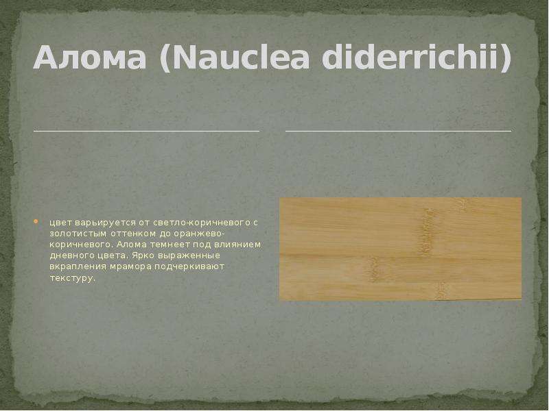 Алома Nauclea diderrichii