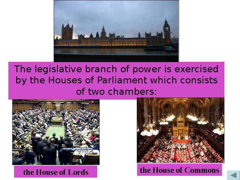 The legislative branch of
