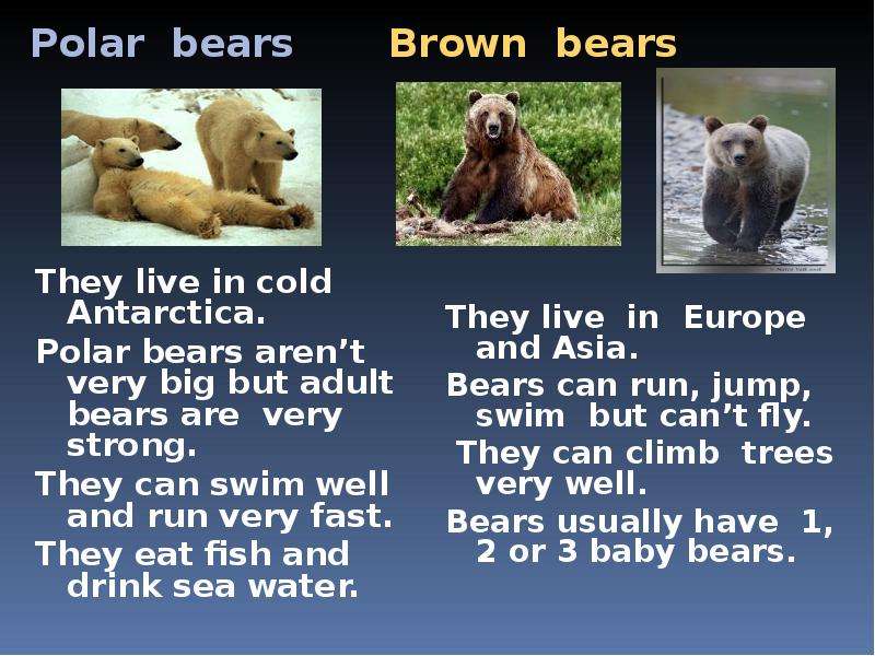 Polar bears Brown bears They