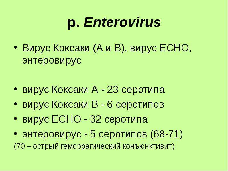 р. Enterovirus Вирус Коксаки