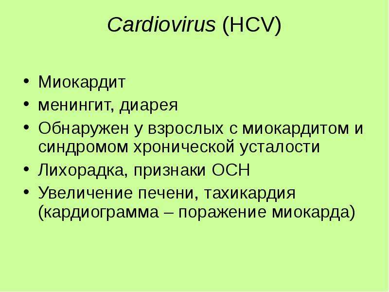 Cardiovirus НCV Миокардит