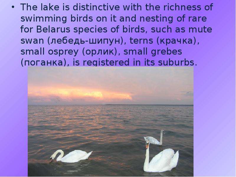 The lake is distinctive with