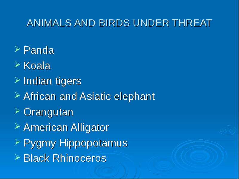 ANIMALS AND BIRDS UNDER