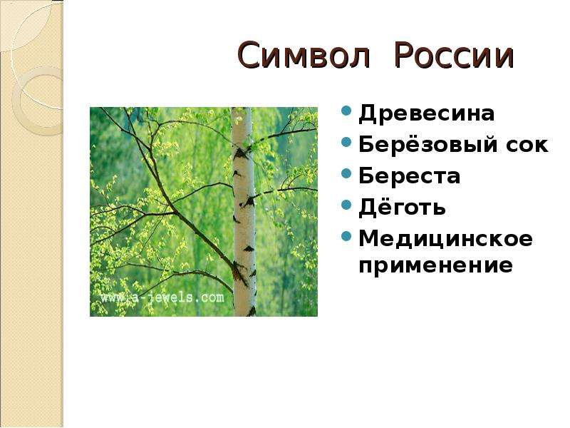 Символ России Древесина