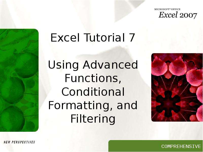 Презентация Excel Tutorial 7 Using Advanced Functions, Conditional Formatting, and Filtering