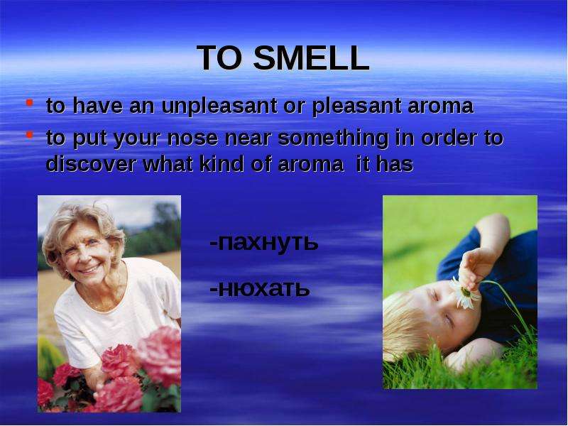 TO SMELL to have an