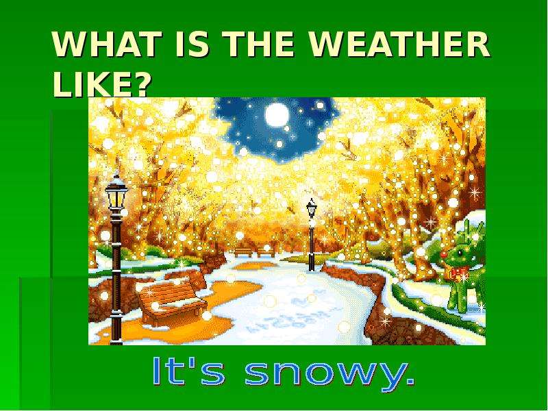 WHAT IS THE WEATHER LIKE?