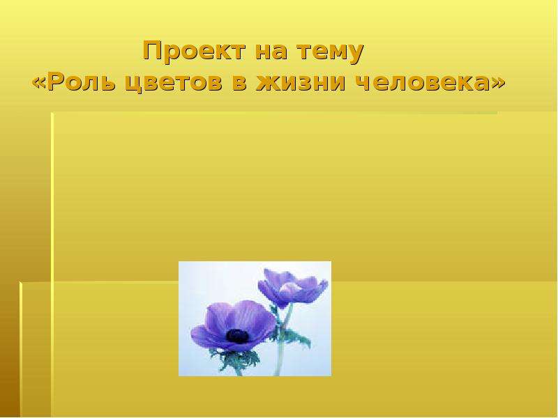 Презентация Проект на тему «Роль цветов в жизни человека»