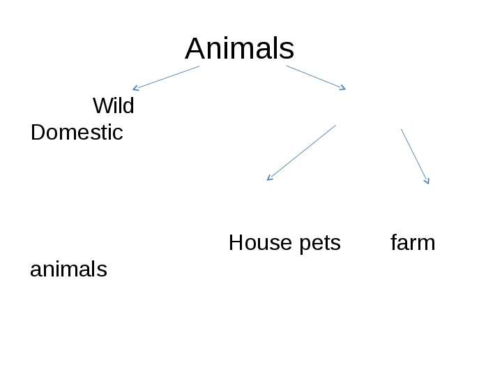 Animals Wild Domestic House