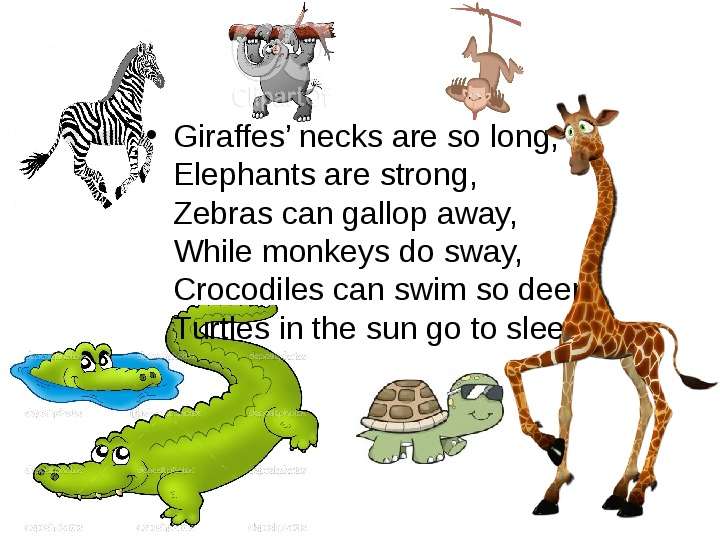 Giraffes necks are so long,
