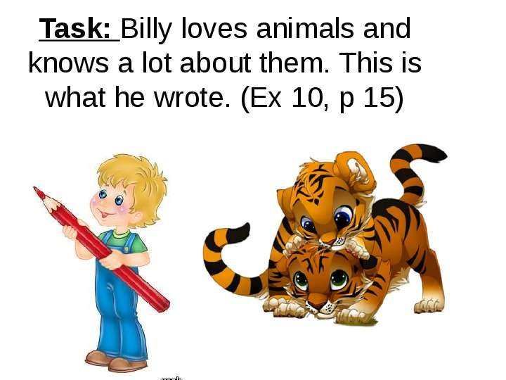 Task Billy loves animals and