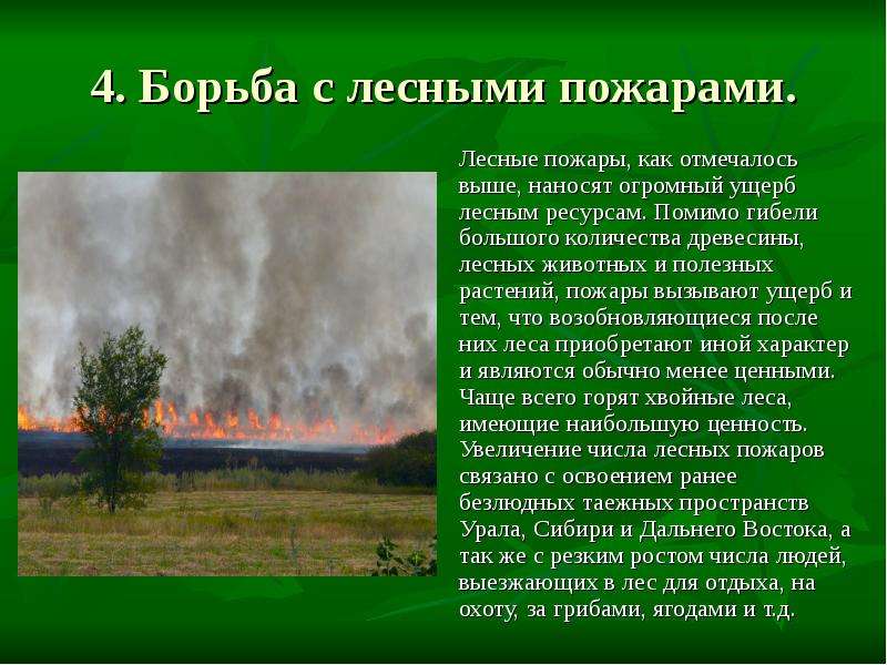 . Борьба с лесными пожарами.