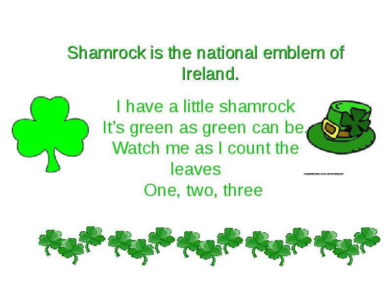 Shamrock is the national