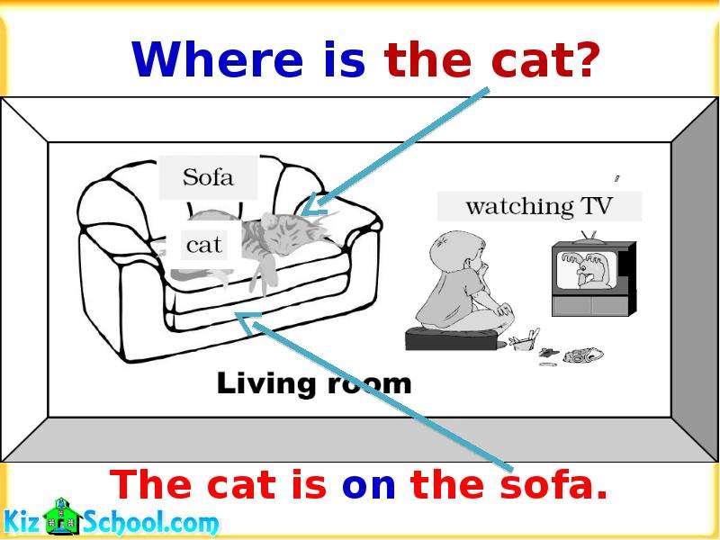 Where is the cat?