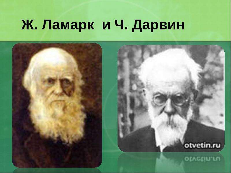 Ж. Ламарк и Ч. Дарвин