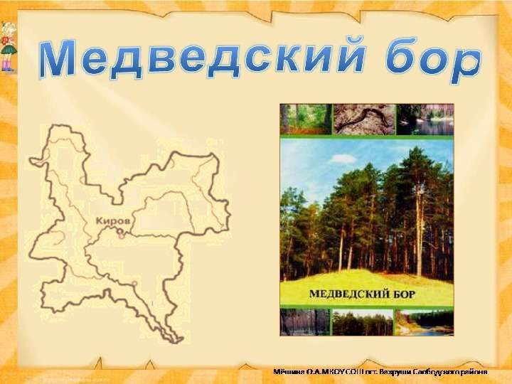 Презентация Медведский бор - презентация к уроку Географии