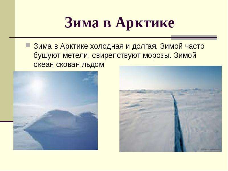 Зима в Арктике Зима в Арктике