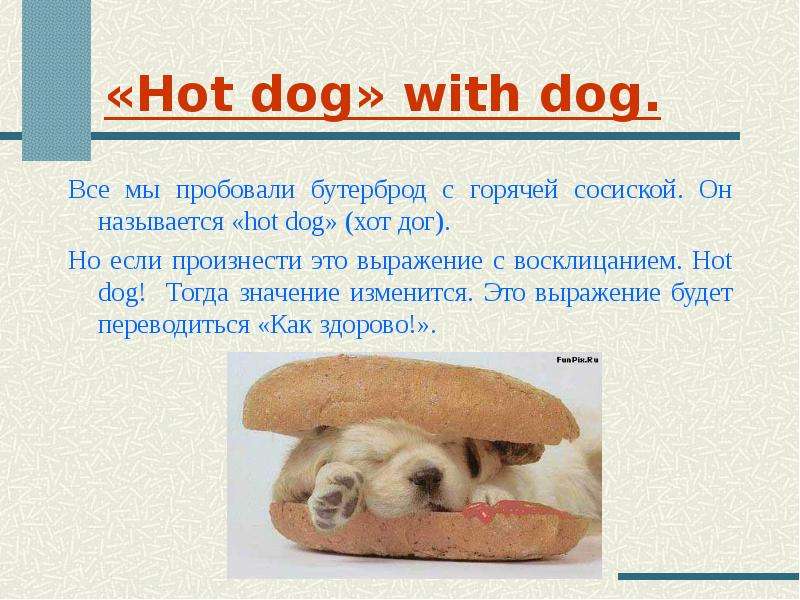 Hot dog with dog. Все мы