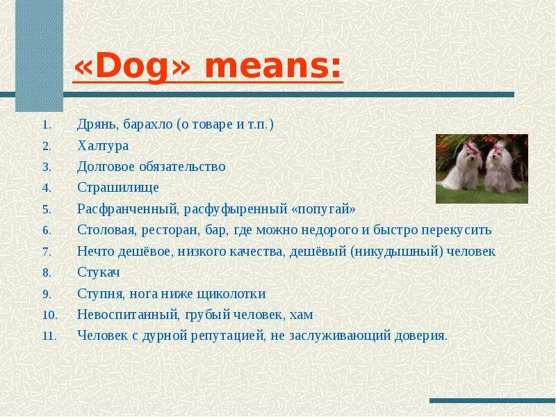 Dog means Дрянь, барахло о