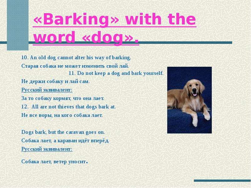 Barking with the word dog . .