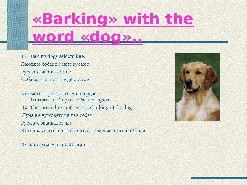 Barking with the word dog ..