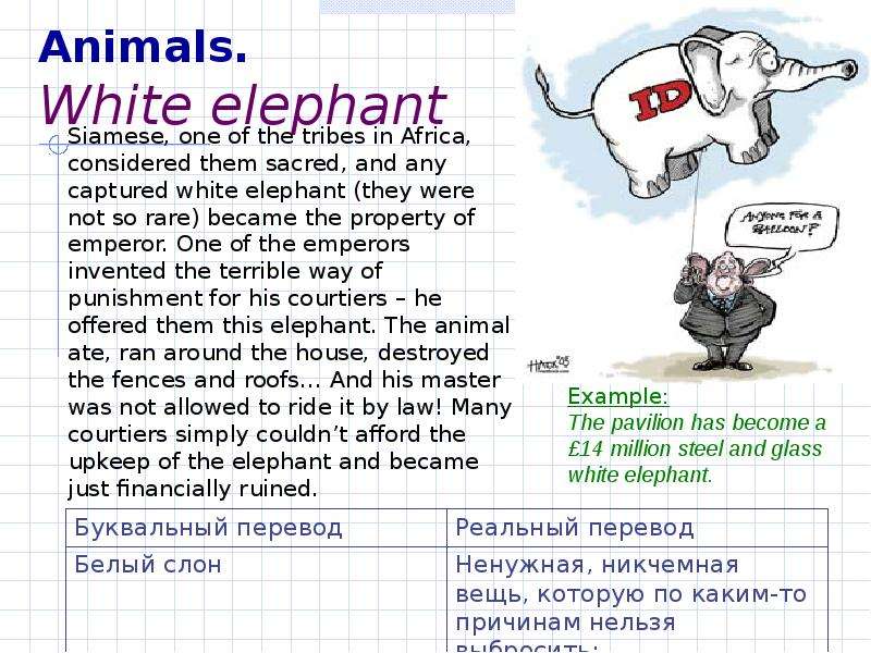 Animals. White elephant