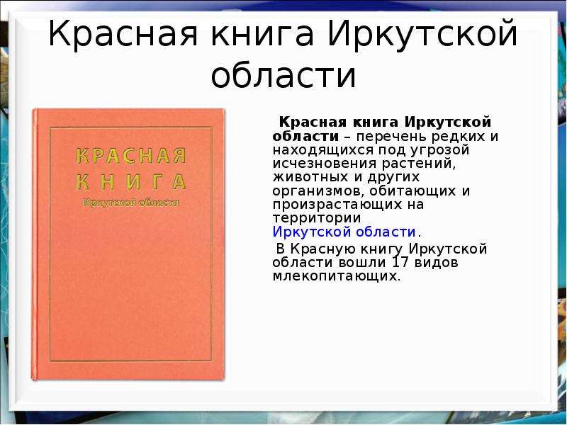 Красная книга Иркутской