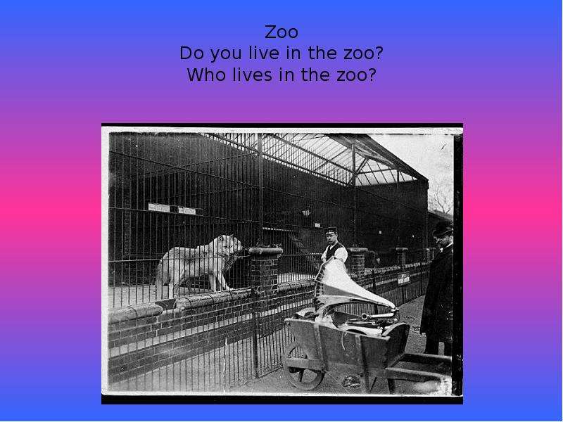 Zoo Do you live in the zoo?