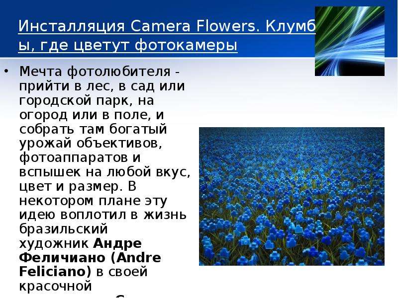 Инсталляция Camera Flowers.